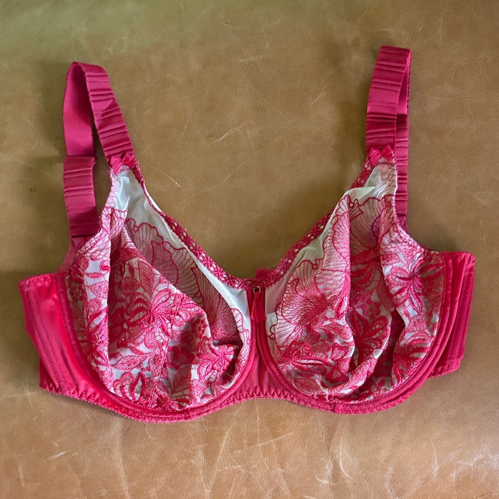 Empreinte Sheer Red Lace Bra 32G